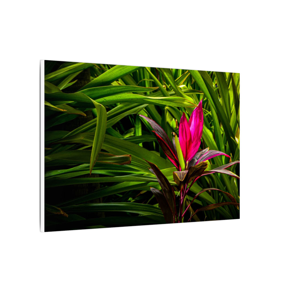 Bloom - Nature Collection Matte Canvas, Framed (Multi-color)