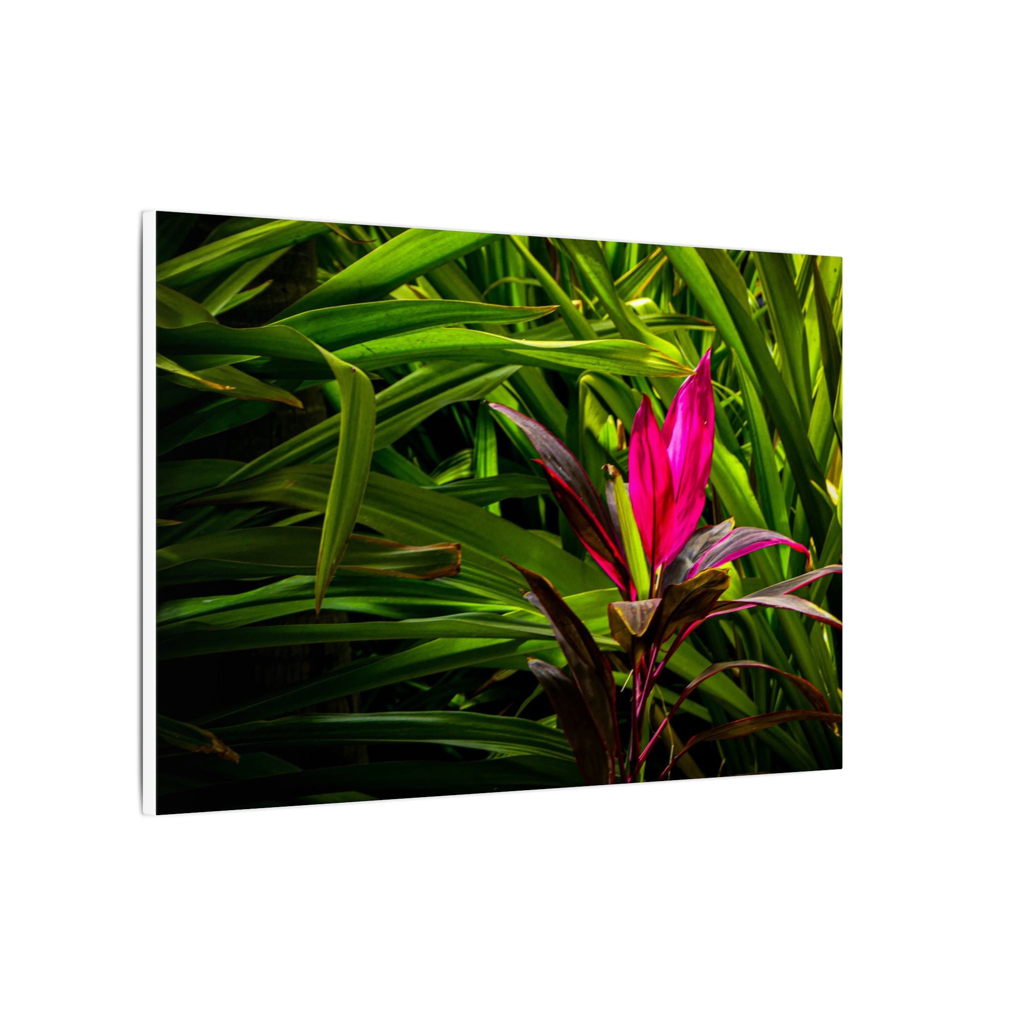 Bloom - Nature Collection Matte Canvas, Framed (Multi-color)