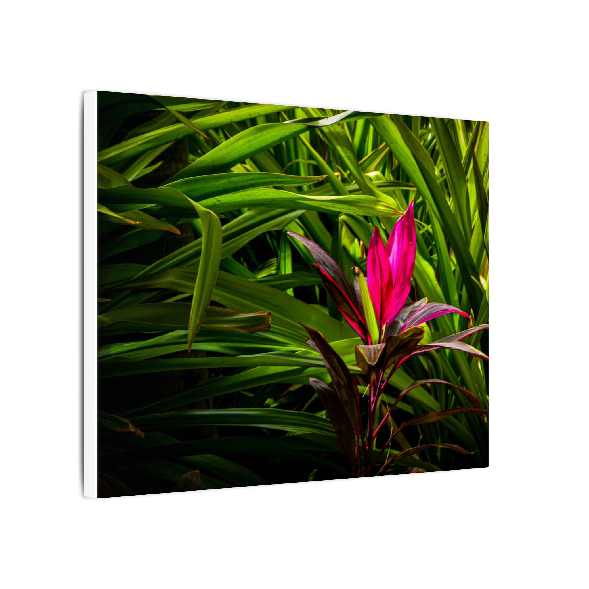 Bloom - Nature Collection Matte Canvas, Framed (Multi-color)