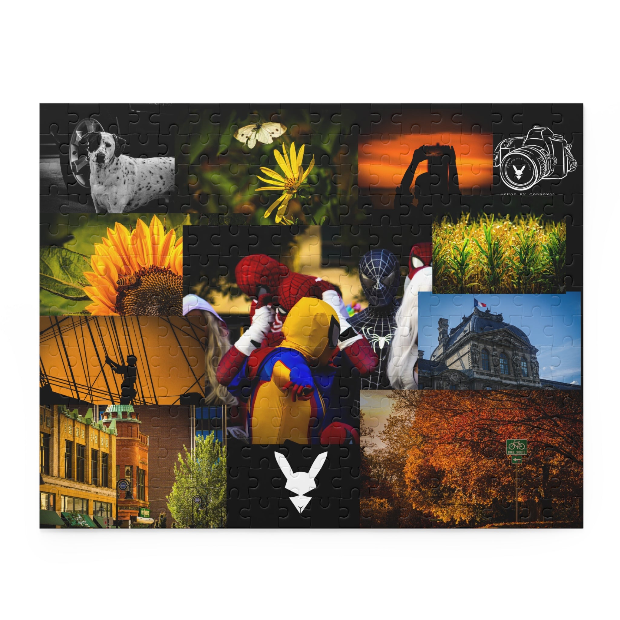 2026 Flagship Collection Puzzle