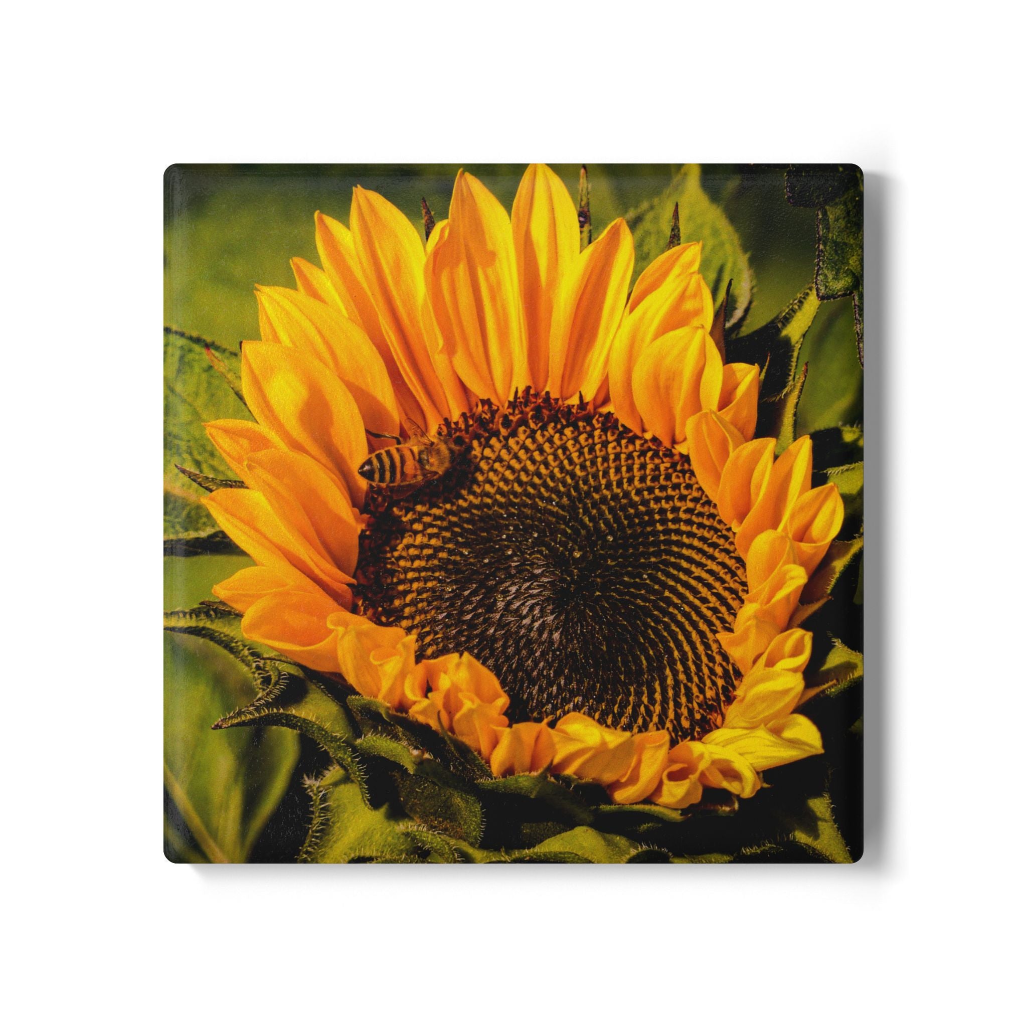 Sunflower & The Bee Ceramic Coaster — Bright Floral Drink Coaster
