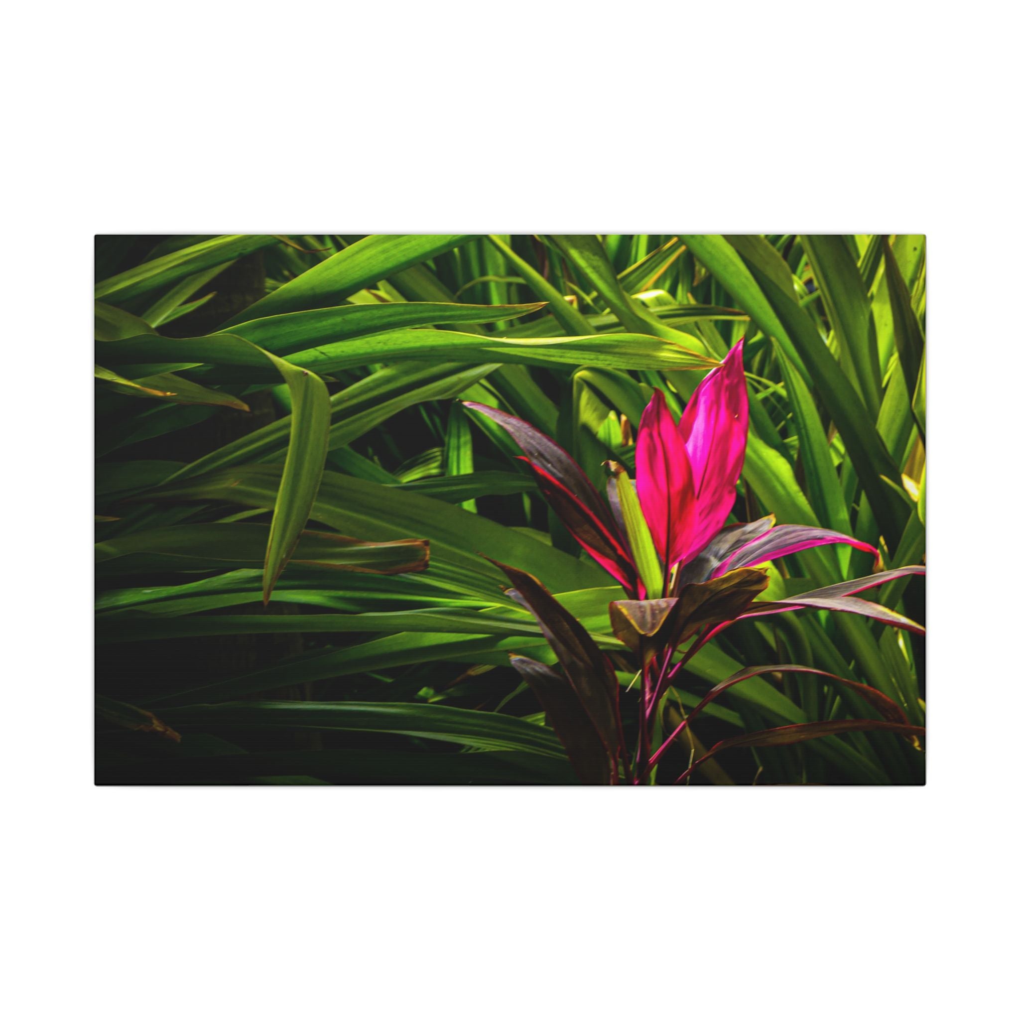 Bloom - Nature Collection Matte Canvas, Framed (Multi-color)