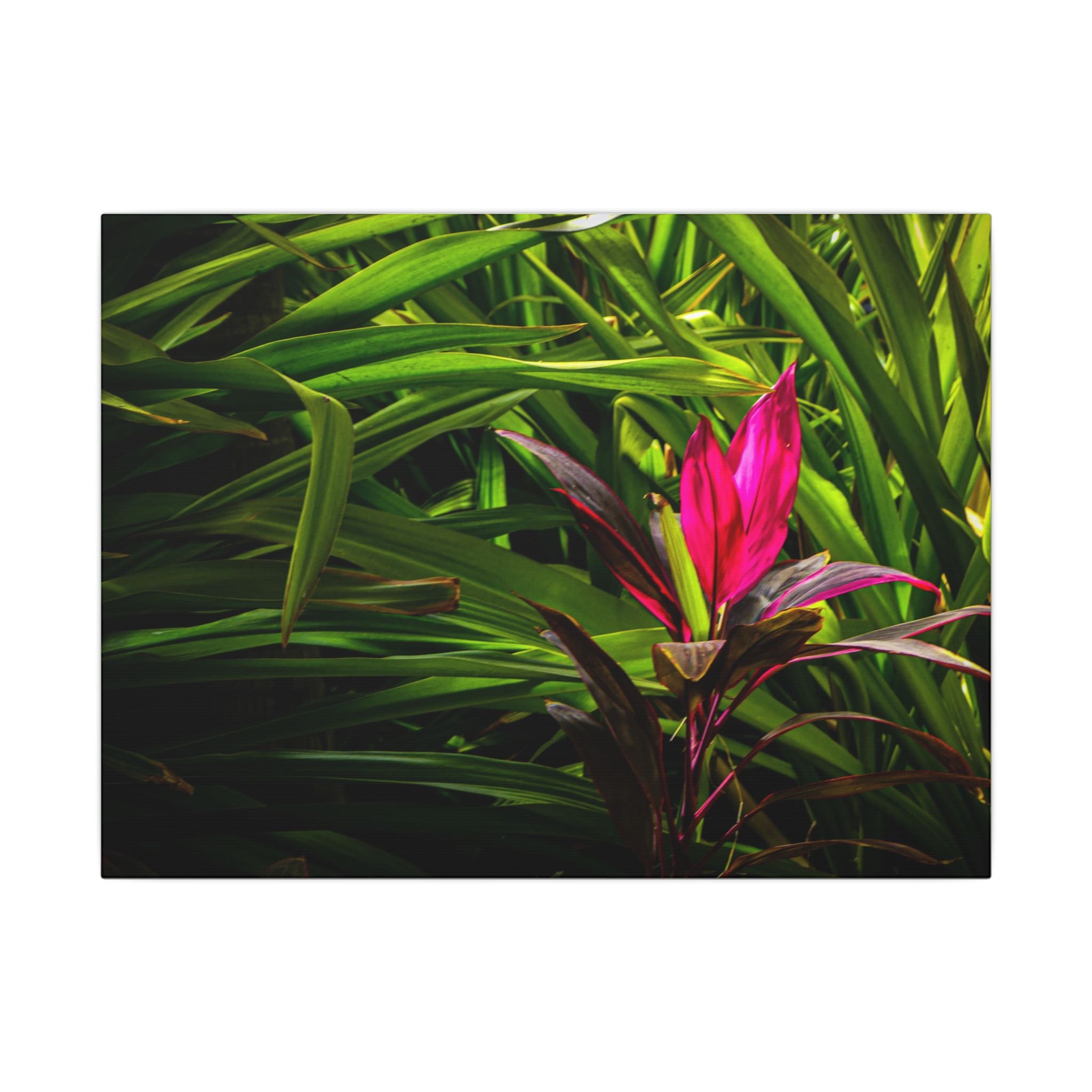 Bloom - Nature Collection Matte Canvas, Framed (Multi-color)