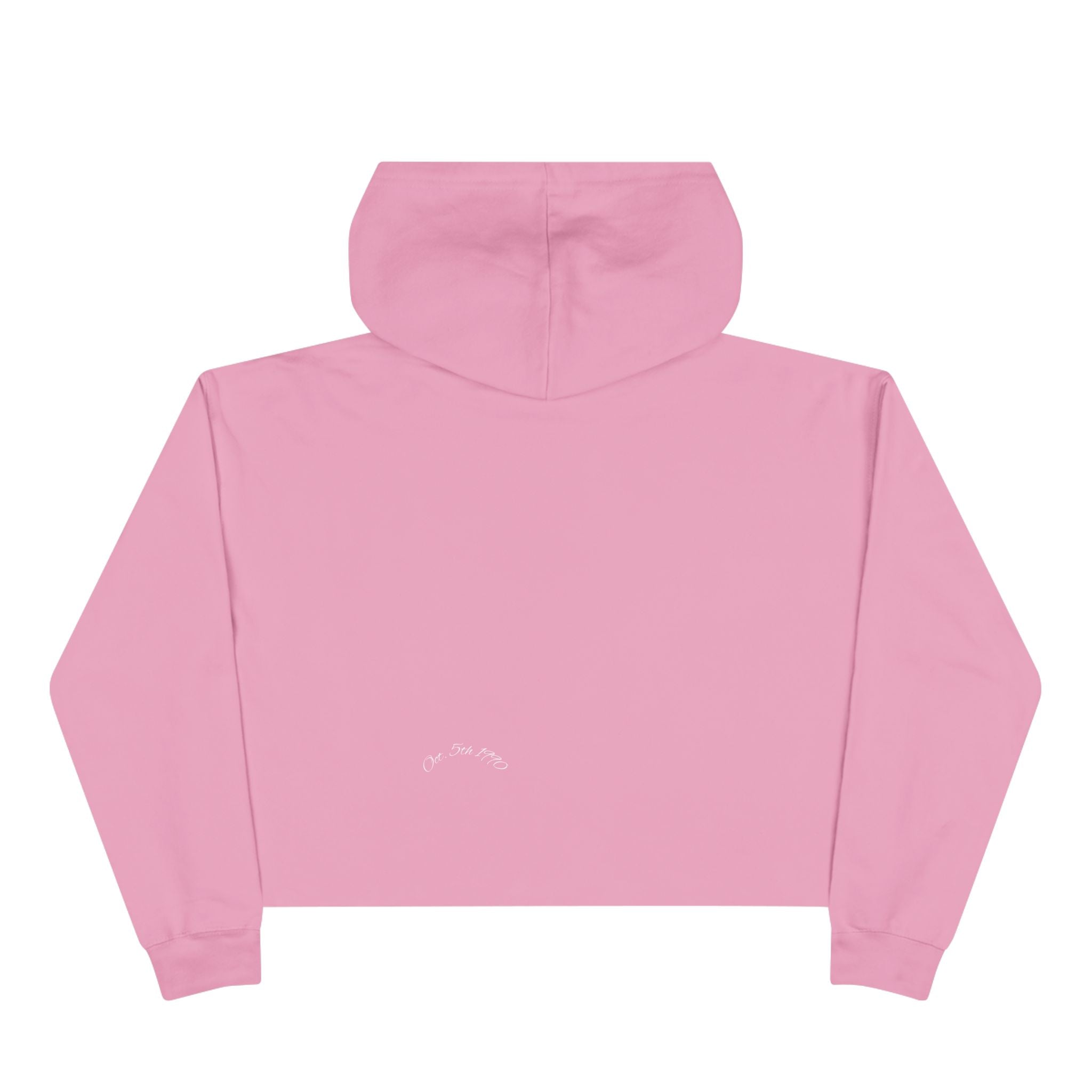 Flagship Logo Cropped Hoodie