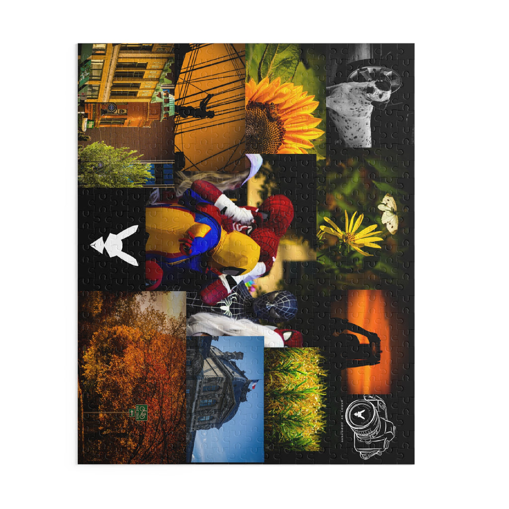 2026 Flagship Collection Puzzle