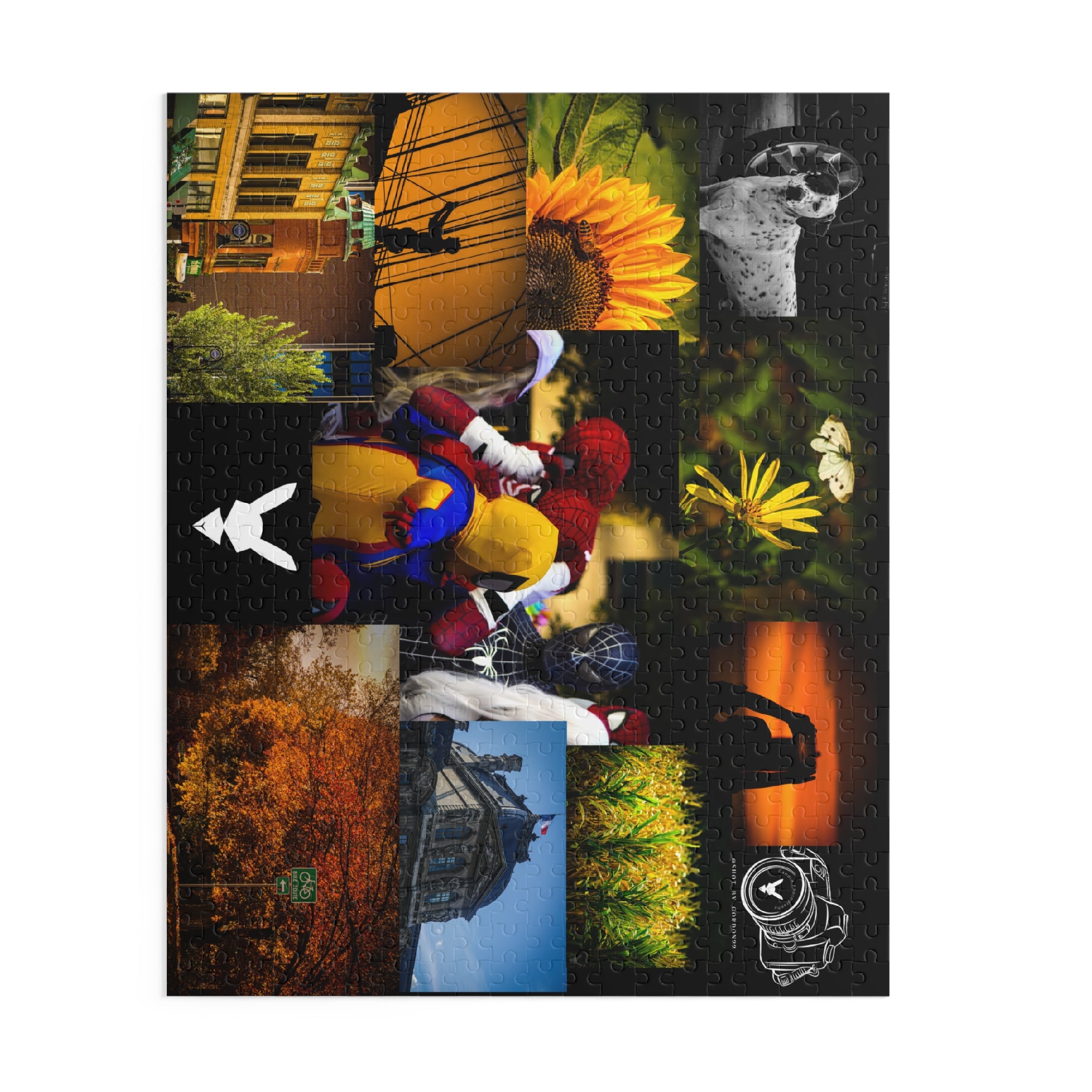 2026 Flagship Collection Puzzle