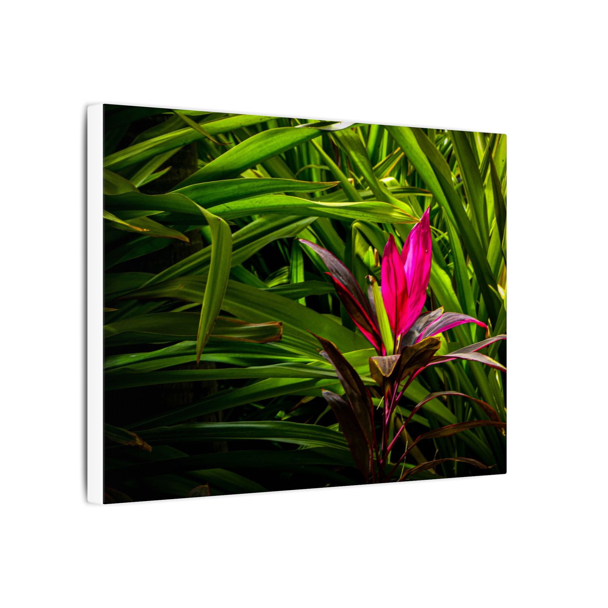 Bloom - Nature Collection Matte Canvas, Framed (Multi-color)