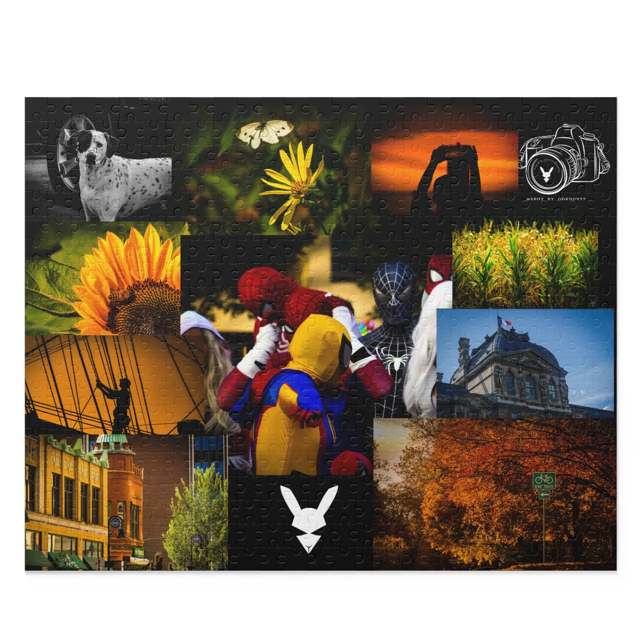 2026 Flagship Collection Puzzle