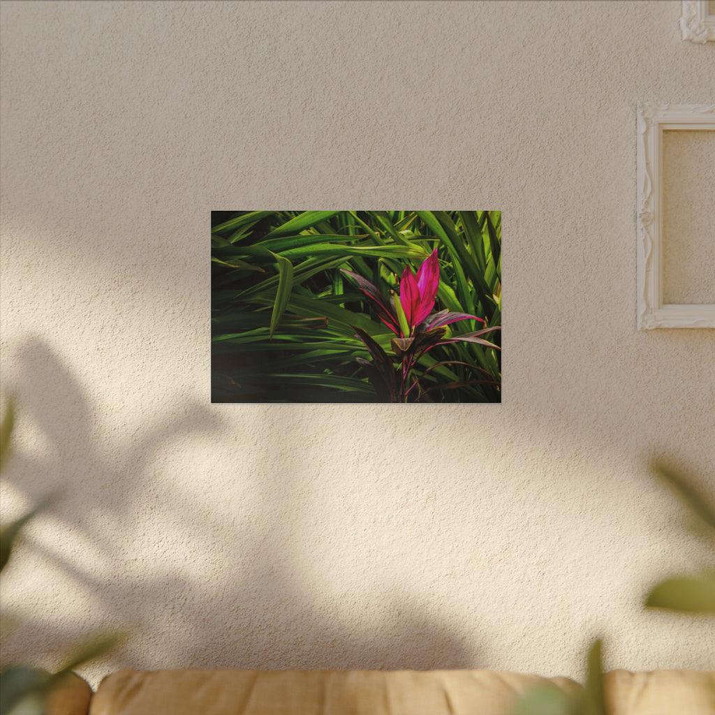 Bloom - Nature Collection Matte Canvas, Framed (Multi-color)