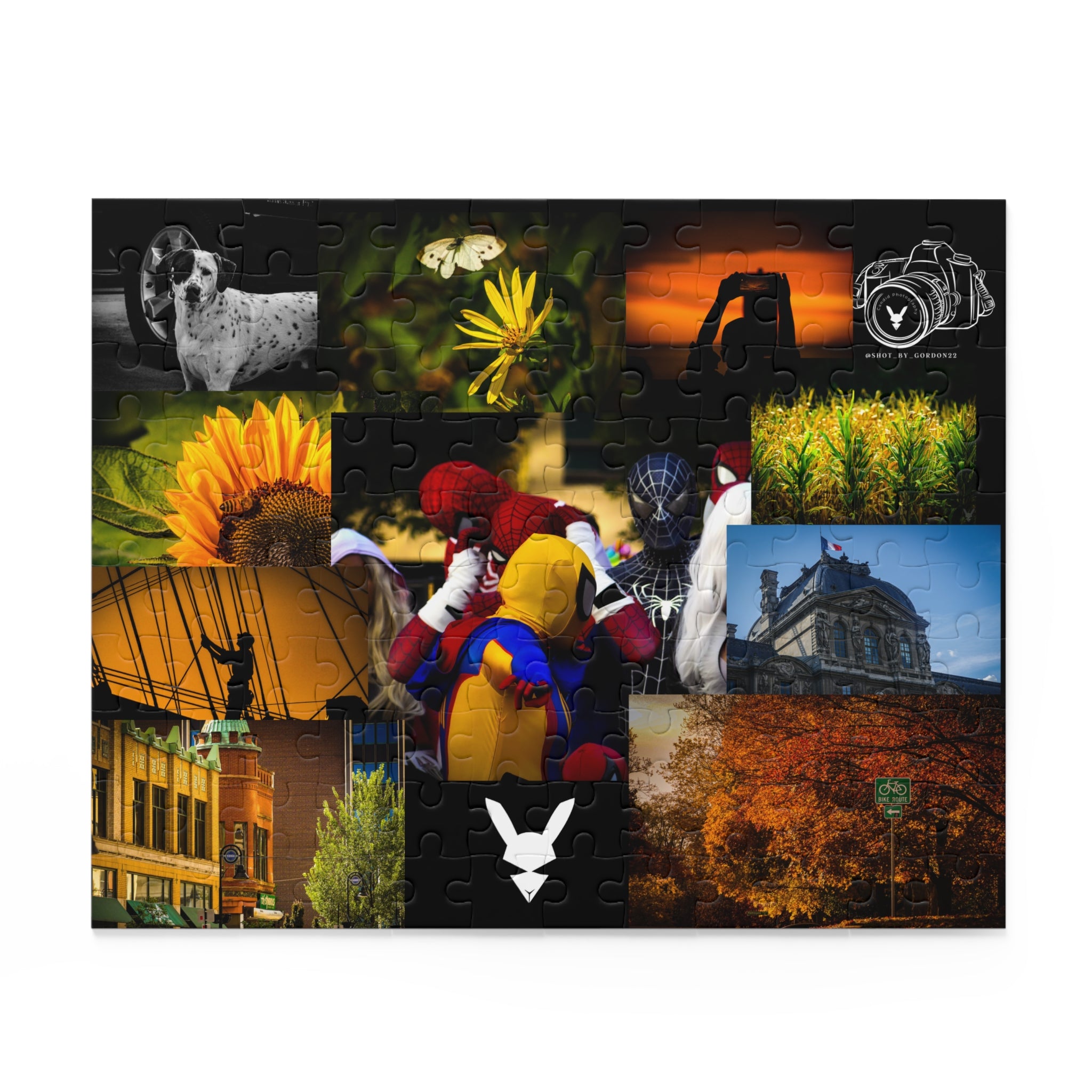 2026 Flagship Collection Puzzle