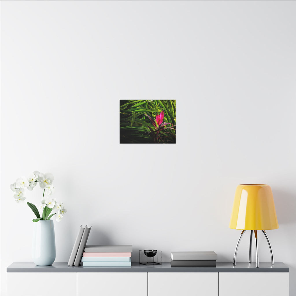 Bloom - Nature Collection Matte Canvas, Framed (Multi-color)