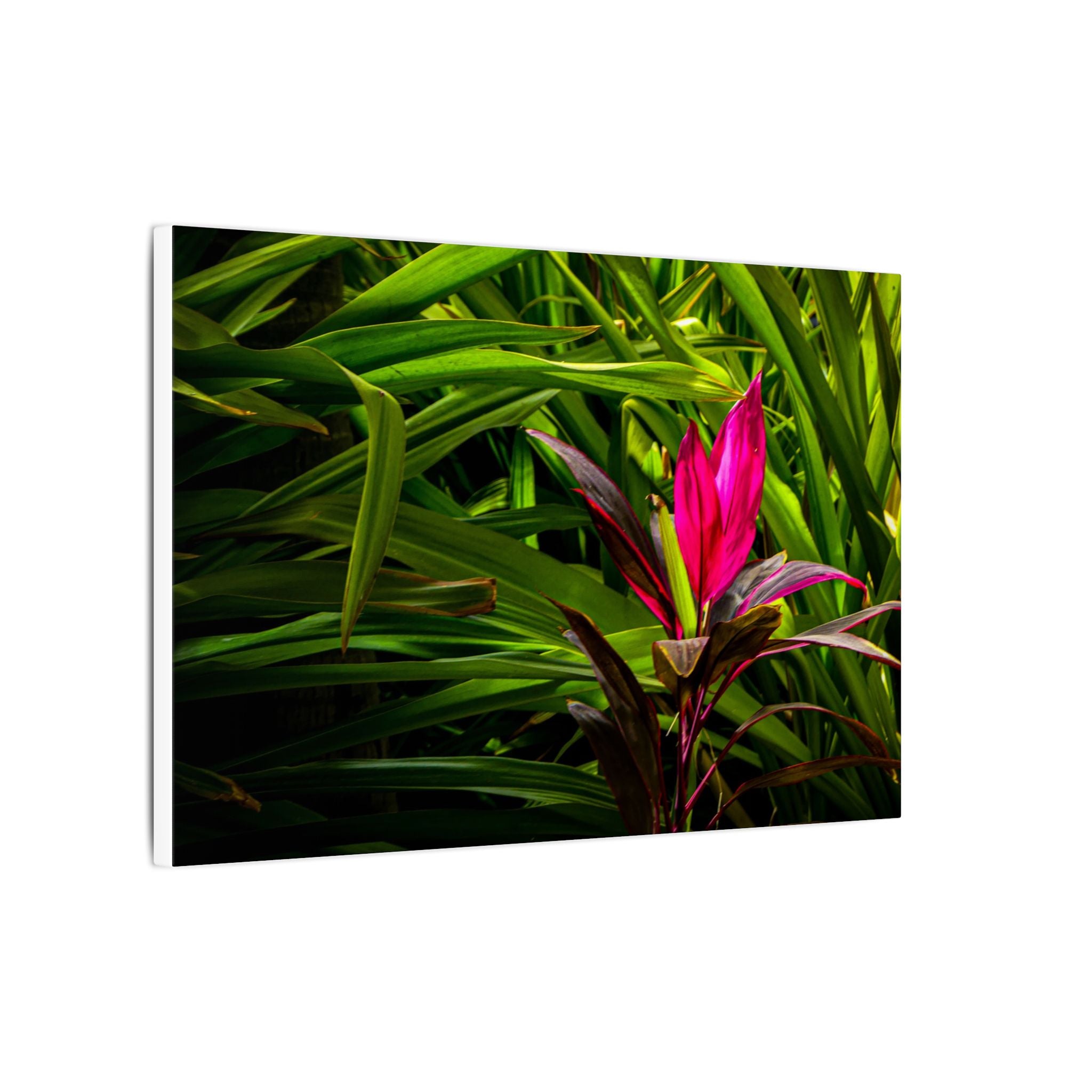 Bloom - Nature Collection Matte Canvas, Framed (Multi-color)