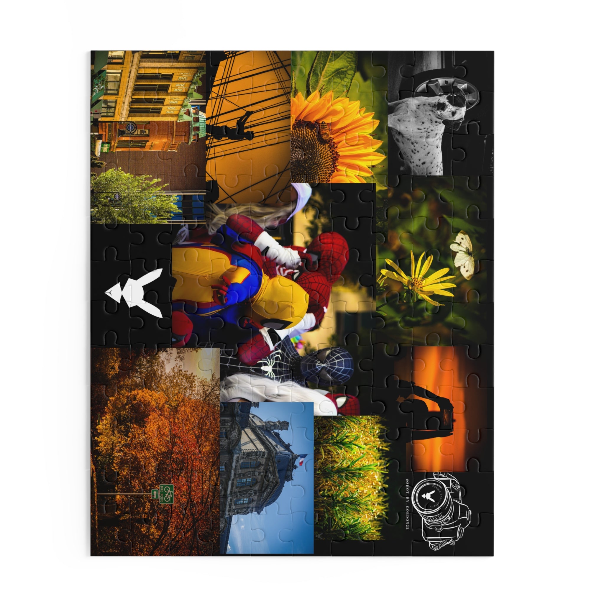 2026 Flagship Collection Puzzle