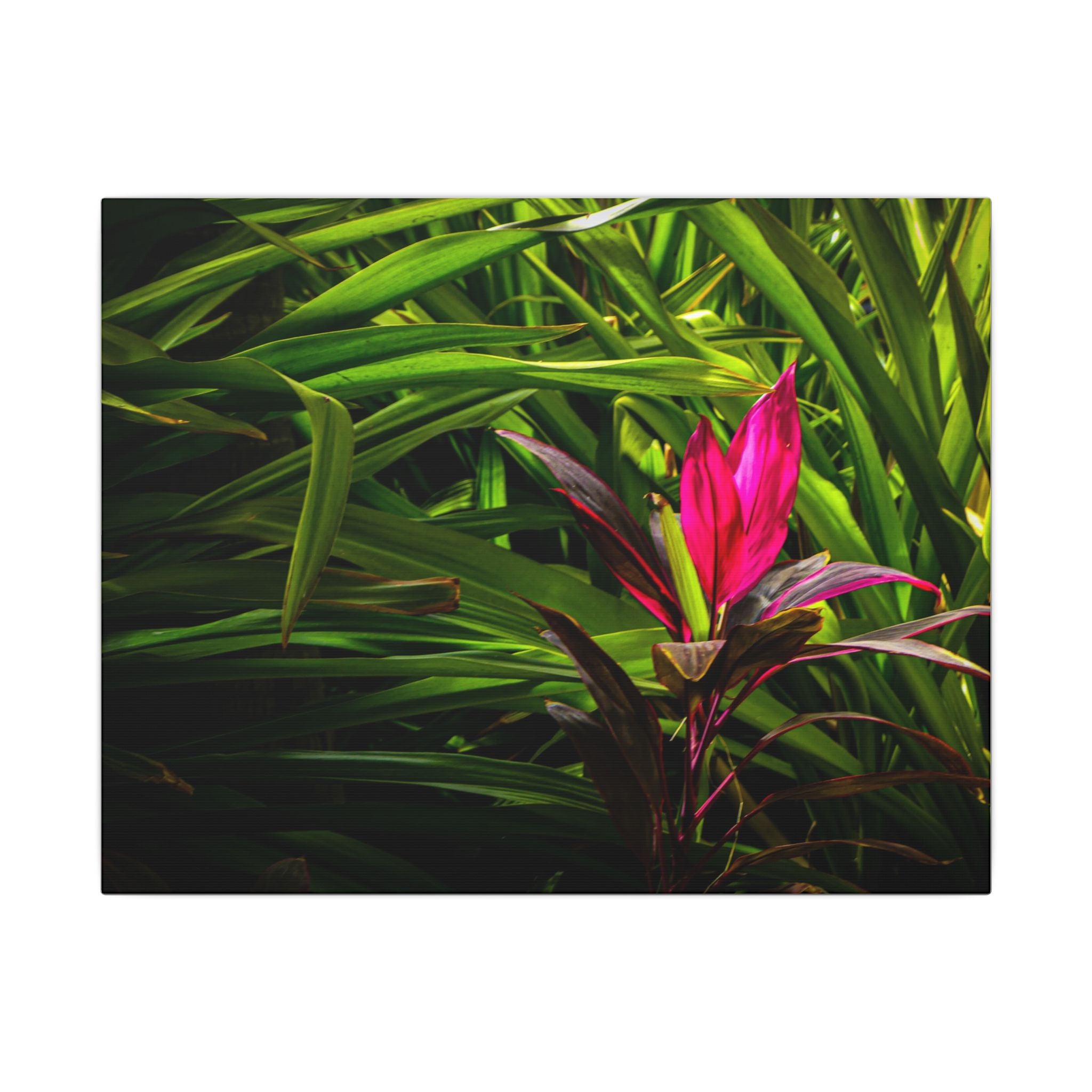Bloom - Nature Collection Matte Canvas, Framed (Multi-color)
