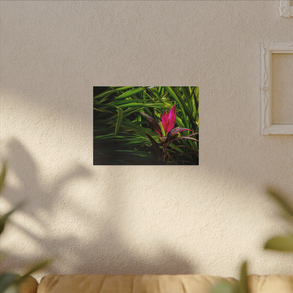 Bloom - Nature Collection Matte Canvas, Framed (Multi-color)