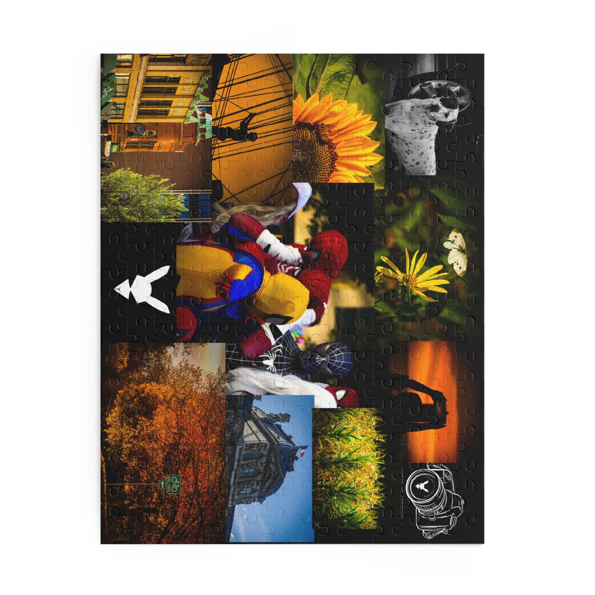 2026 Flagship Collection Puzzle