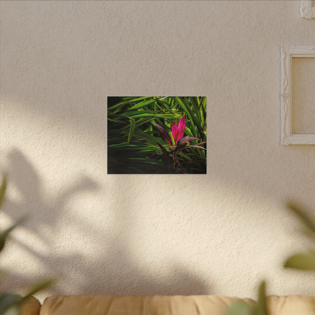 Bloom - Nature Collection Matte Canvas, Framed (Multi-color)