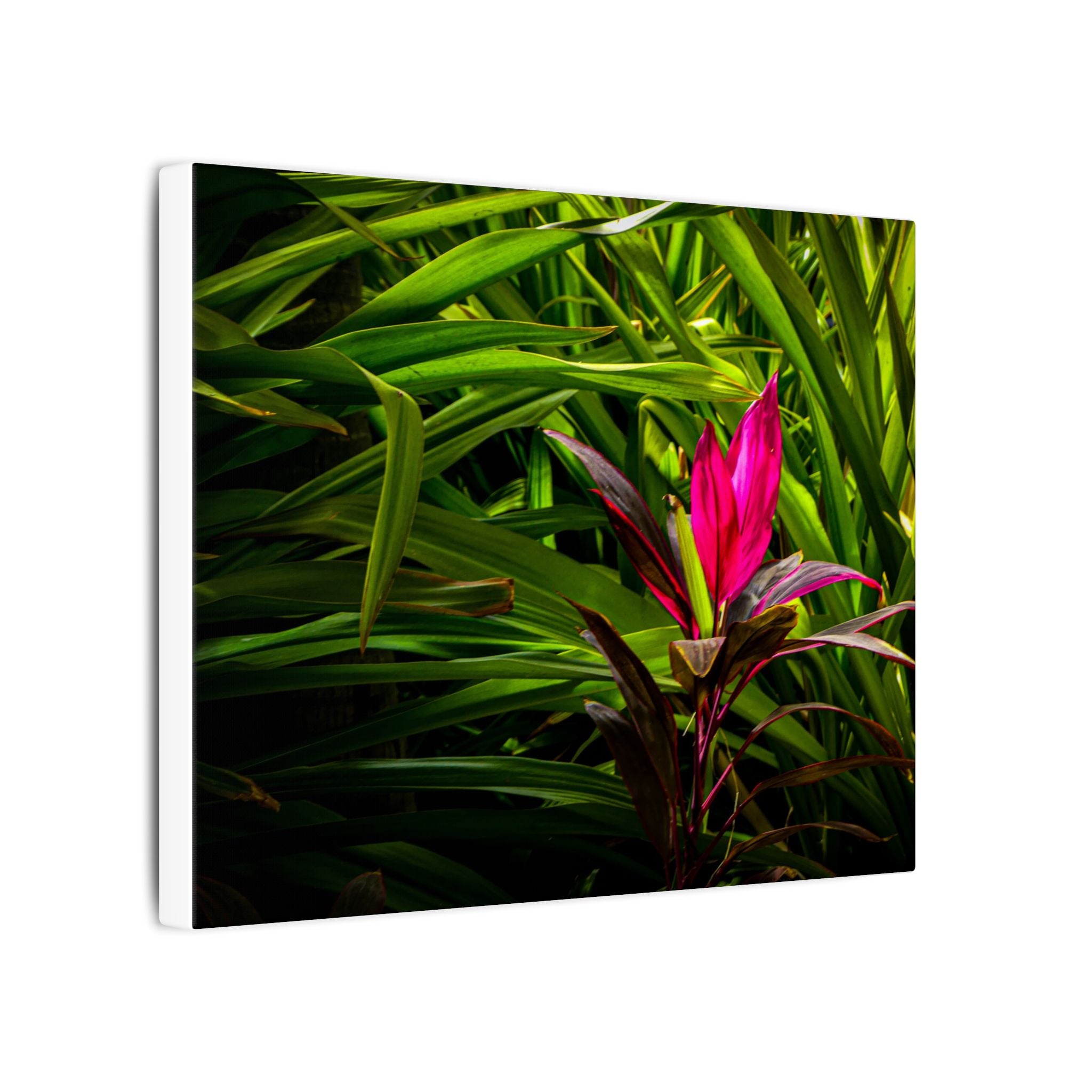Bloom - Nature Collection Matte Canvas, Framed (Multi-color)