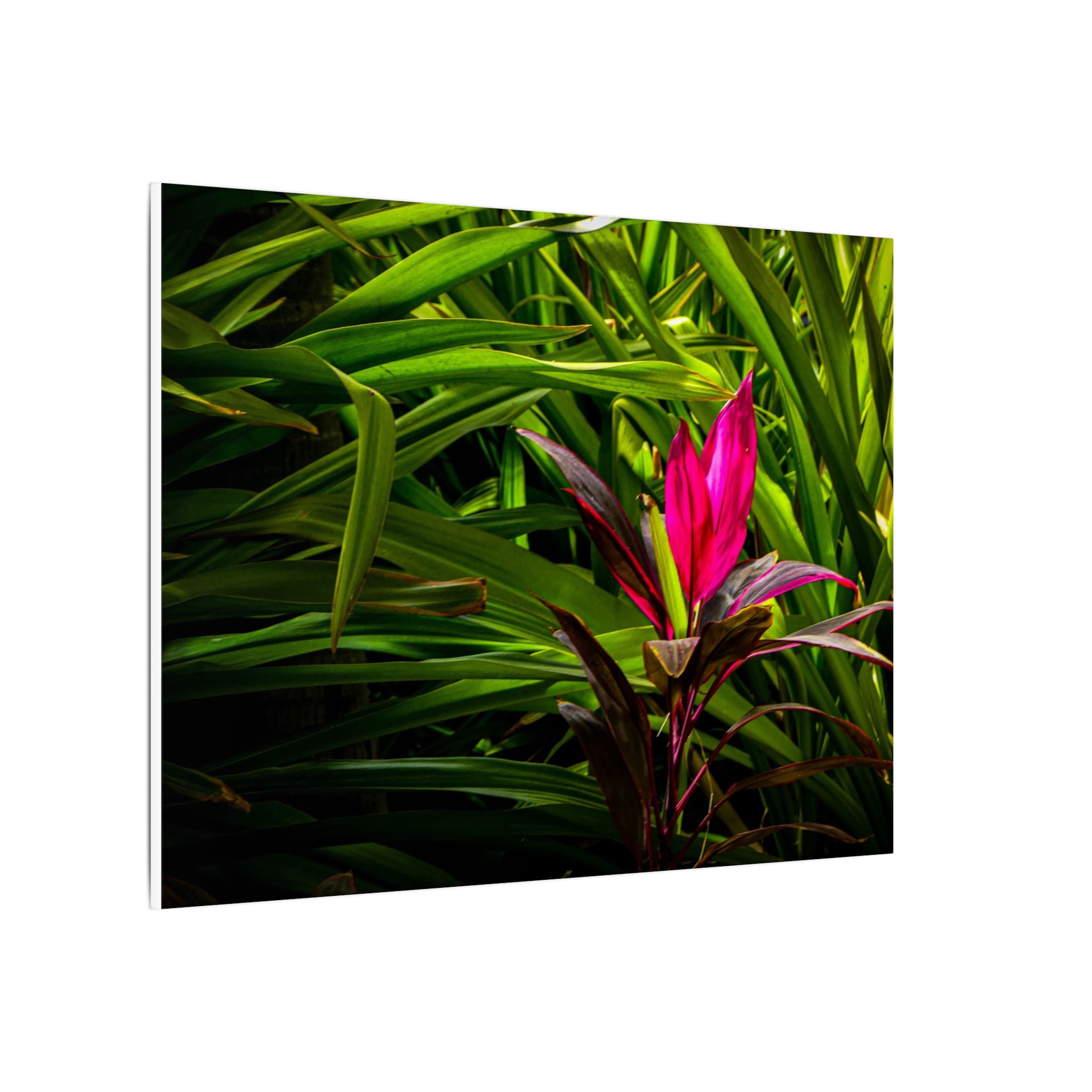 Bloom - Nature Collection Matte Canvas, Framed (Multi-color)